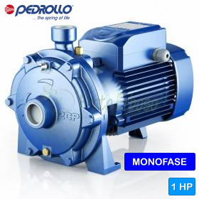 Pompë elektrike centrifugale me dy helika dhe një fazë 2CPm 25/130 - 1 HP