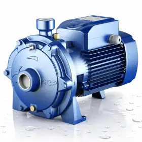 2CP 32/200B - 5.5 HP three-phase twin-impeller centrifugal pump Pedrollo - 1