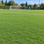 SPORTS Lawn