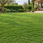 Pradera GEORGIA
