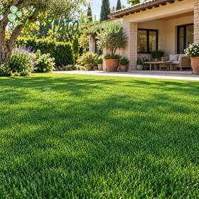 Gazon luxuriant Prairie ÉLÉGANCE devant une terrasse méditerranéenne arborée