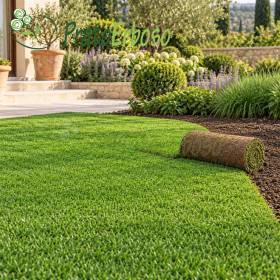 Meadow CHARM turf roll being laid on a lush green garden lawn with landscaped flower beds