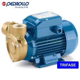 PQ 60-Bs - Electrobomba con impulsor periférico trifásico de 0,40 HP Pedrollo - 1