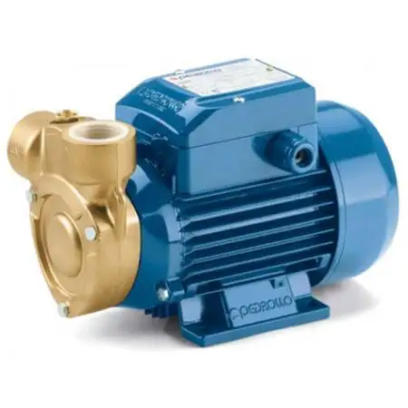 PQm 65-Bs – Elektropumpe mit einphasigem Peripherallaufrad mit 0,75 PS