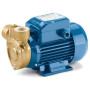PQm 81-Bs - 0.75 HP single-phase peripheral impeller electric pump