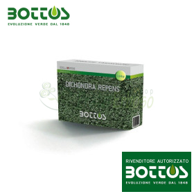 Dichondra Repens - Farë Lëndinë 100g
