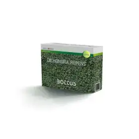 Dichondra Repens - Semences à gazon 100g