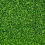 CLASSIC lawn