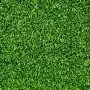CLASSIC lawn