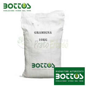 Semințe de iarbă de pădure - 10 kg