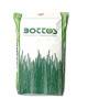 Dicondra Repens – 5 kg Rasensamen