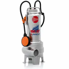 BCm 15/50-ST - Pompe électrique monophasée à DEUX CANAUX de 1,5 CV pour