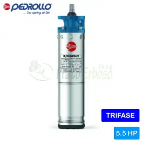 6PD/5.5 - 6" 5.5 HP three-phase rewindable motor