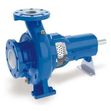 FG2-50/125B - Pompa centrifuga normalizzata con supporto Pedrollo - 1