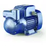Pompe électrique à anneau liquide monophasée auto-amorçante CKm 50-BP - 0,33 CV