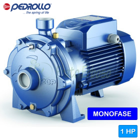 2CPm 25/130 - 1 PS einphasige elektrische Kreiselpumpe mit zwei Laufrädern Pedrollo - 1