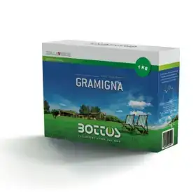 Semillas de césped tipo grama - 1 kg