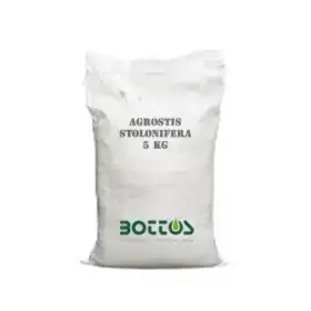 Semințe de gazon Agrostide Stolonifera Alpha - 1 kg
