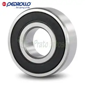 6203 2RS - Roulement à billes 17x40x12 mm Pedrollo - 1