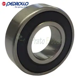 6304 2RS-C3 - Roulement à billes 20x52x15 mm Pedrollo - 1