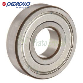 6309 ZZ-C3 - Cojinete de bolas 45x100x25 mm Pedrollo - 1