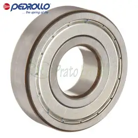 6309 ZZ-C3 - Roulement à billes 45x100x25 mm Pedrollo - 1