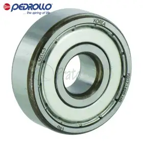 6310-ZZ-C3 - Kushineta topash 50x110x27 mm Pedrollo - 1