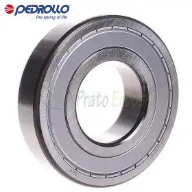6313 ZZ-C3 - Kushineta topash 65x140x33 mm Pedrollo - 1