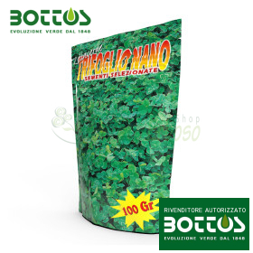 Dwarf Repens Clover - 100 g farë lëndinë