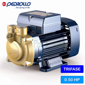 PV 81 - 0.50 HP three-phase peripheral impeller electric pump Pedrollo - 1 PV 81 - 0.50 HP three-phase peripheral impeller electric pump Pedrollo - 1