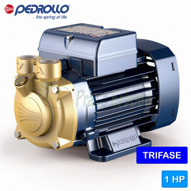 PV 70 – Elektropumpe mit 1 PS dreiphasigem Peripherlaufrad Pedrollo - 1