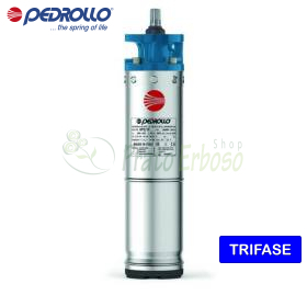 6PD/50 – 6 Zoll 50 PS Dreiphasen-Rückwickelmotor