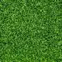 200 m2 of ready-made lawn in rolls Prato Erboso - 3