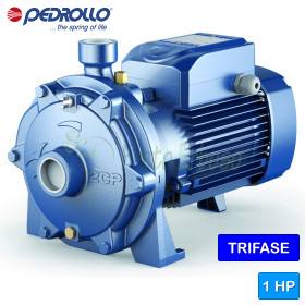 Bomba centrífuga trifásica de doble impulsor 2CP 25/130 - 1 HP Pedrollo - 1