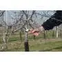 Felco 2 - Pruning for pruning, cutting 25 mm