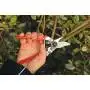 Felco 6 - Pruning for pruning, cutting 20 mm