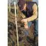 Felco 11 - Foarfece pentru tăiere, tăiere 25 mm Felco - 7