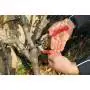 Felco 13 - Scissors for pruning, cutting 30 mm