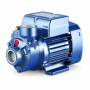 PKm 300 - 3 HP single-phase peripheral impeller electric pump