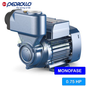 PKSm 65 - Pompă electrică autoamorsantă cu rotor periferic monofazat de 0,75 CP Pedrollo - 1