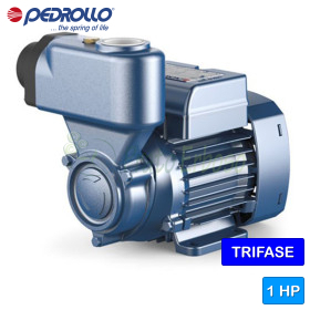 PKS 80 - Electropompa autoamorsanta cu rotor periferic trifazat de 1 HP Pedrollo - 1 PKS 80 - Electropompa autoamorsanta cu rotor periferic trifazat de 1 HP Pedrollo - 1