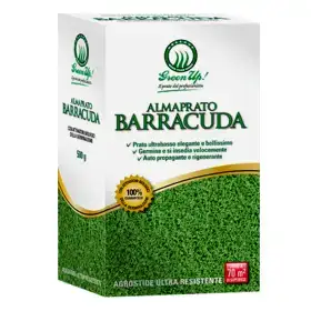 Semințe de gazon Almaprato Barracuda - 500g
