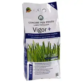 Vigor Plus - Abono para césped 4 kg Herbatech - 1