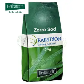 Zorro Sod - 10 kg de semences à gazon