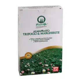 Almaprato Clovers & Daisies - Lawn seeds 250 g