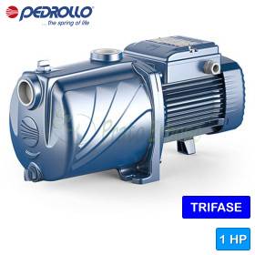 Pompë elektrike trefazore me shumë rrota 5CP 80-I - 1 HP Pedrollo - 1