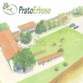Bewässerungsprojekt für Rasenflächen bis 1000 m2