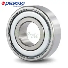 113004S - Rulment cu bile Pedrollo - 1