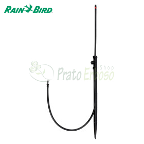 Jet spike 310-360 grados - Pulverizador de 360 grados sobre punta