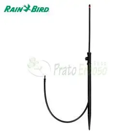 Jet spike 310-360 grados - Pulverizador de 360 grados sobre punta